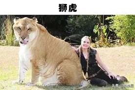 虽被认为是虚构，但在某种意义上真实存在的9种生物图片