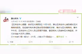 女孩被狗咬后确诊狂犬病，医生提醒：千万不要让猫狗舔伤口图片