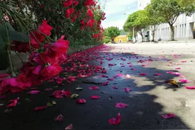 红红火火，恍恍惚惚图片