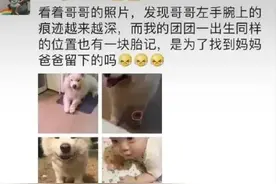 去世24年后，这只背书包买小鱼干的企鹅依然被人们铭记图片