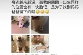 去世24年后，这只背书包买小鱼干的企鹅依然被人们铭记图片