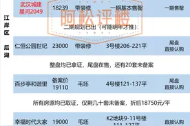 大汉口最新开盘汇总表，已更新图片