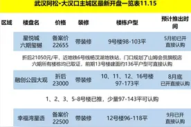 大汉口最新开盘汇总表，已更新图片