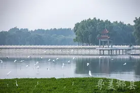 【寻美郏县】郏县青龙湖图片
