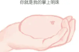 今日份抖音热门表情包，你就是我的掌上明珠图片