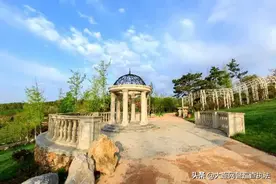 位置在这！大连再添新公园图片