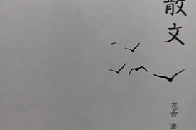 读老舍散文图片