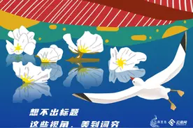 生物奇妙说⑧ | 这些视角下的云南，多看几遍会上瘾图片