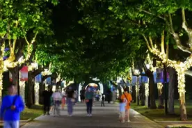 “城里的月光”宋夹城集市开街：夜太美图片