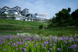 麓悦江城 下一个公园城市的重庆范本图片