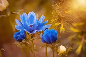 人生不易，且行且珍惜图片
