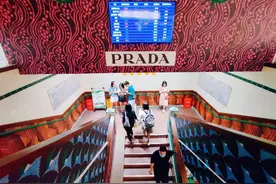 疯抢Prada纸袋的人，放过菜市场吧图片