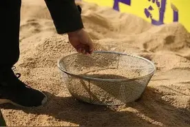 沙子或将成为奢侈品，沙子含量告急，它将成为稀有资源！图片
