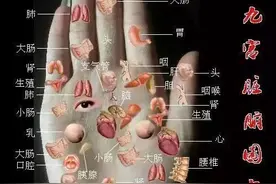 手诊歌诀，面诊歌诀，建议收藏！图片