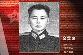 打遍“新西兰”的陆军第十一师图片