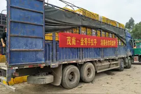 茂南金秀“双向驱动” 大瑶山农产品成“致富矿”图片