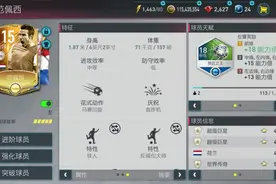 fifa足球世界国旗范佩西评测图片