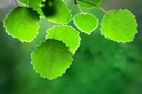 “老公，男闺蜜心情不好陪他散散心”老公：去吧，我也陪女闺蜜图片