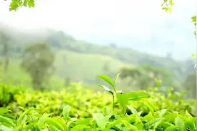 这些关于“保密”的笑话，真是有趣又有料!图片