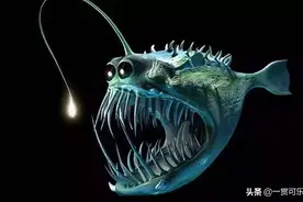 十大最丑的海洋生物，“美人鱼”竟然也上榜图片