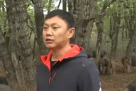 退伍老兵返乡养黑猪，一年卖出5000万，带领老乡一起走上致富路图片