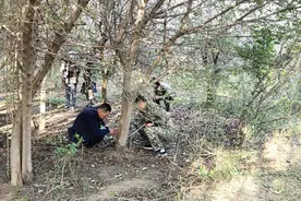 拆迁涉及891户，企业、学校等78家（所）！许昌北绕城高速长葛段清点完毕图片
