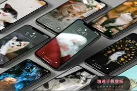 手机壁纸 | 我们一起学猫叫，一起喵喵喵喵喵图片