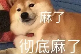 【喜欢的表情包】图片