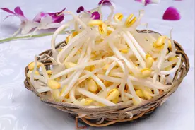 春天吃豆芽，好处一大把图片