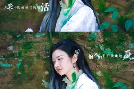 别让你这辈子都活在捡芝麻里图片