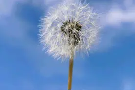 一旦错过，绝不回头的星座，一旦决定分开，再爱也不回头图片