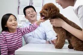 孩子被宠物伤到了怎么办？孩子和宠物相处需要注意什么？图片