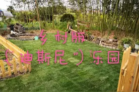 农家小院的土坑改成小鱼池~~期待图片