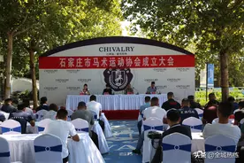 今日，石家庄市马术运动协会正式成立图片