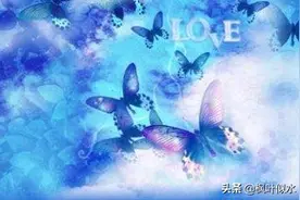 纯音乐《梁祝》Butterfly Lovers图片