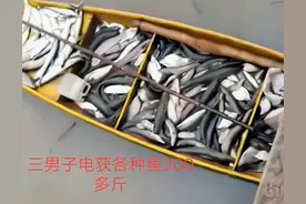 贪婪！湖南三男子电捕鱼200多斤，网友：危害大、要严惩图片