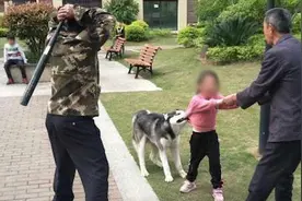 哈士奇咬住女孩不松口被物业人员持棍打死 狗主人仍未找到视频封面