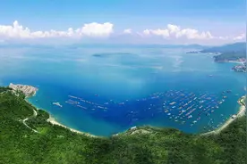 建议深圳尽早开通大鹏半岛节假日专用通道图片