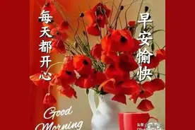 做人，别诡计多端，玩套路；要坦坦荡荡，走正路，早安图片