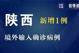 陕西31日新增1例境外输入新冠肺炎确诊病例图片