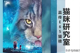 嘉传E65升级，性价比无敌靠谱高端粮，科研能力加成，全村的希望图片