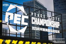 2020年《和平精英》国际冠军杯落幕 NV-XQF夺冠图片