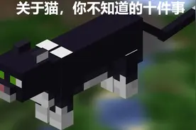 我的世界：上治幻翼下克苦力怕，关于猫神，你可能不知道的十件事图片