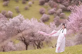 读懂《题都城南庄》你才会明白，爱情到最后都是什么图片