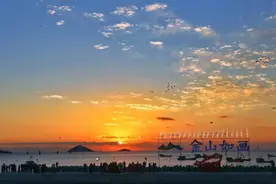 金山："上海湾区"将这样打造城市海岸线！图片