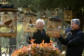 北京土话，你知道多少？图片
