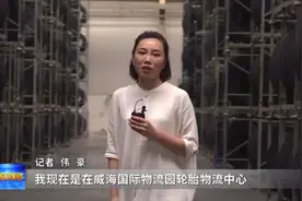 走千里岸线 看攻坚突破 威海国际物流园里的热闹与智慧图片