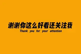 终极の奥义！雷蛇毒蝰终极版浅评图片