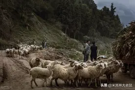 与彝族同胞交朋友，切忌不要做这几点图片