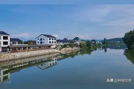 农村俗语：“弱水三千，只取一瓢”，其本意是什么？有何深意吗？图片